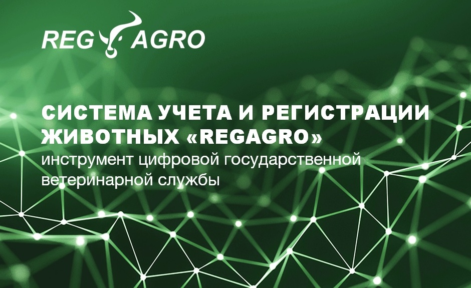 Регагро отчетность